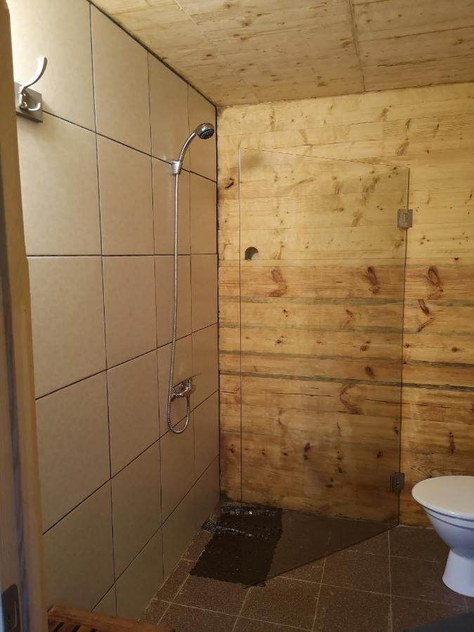 Brivdienu Maja "Raudini" Kaltene Eksteriør billede
