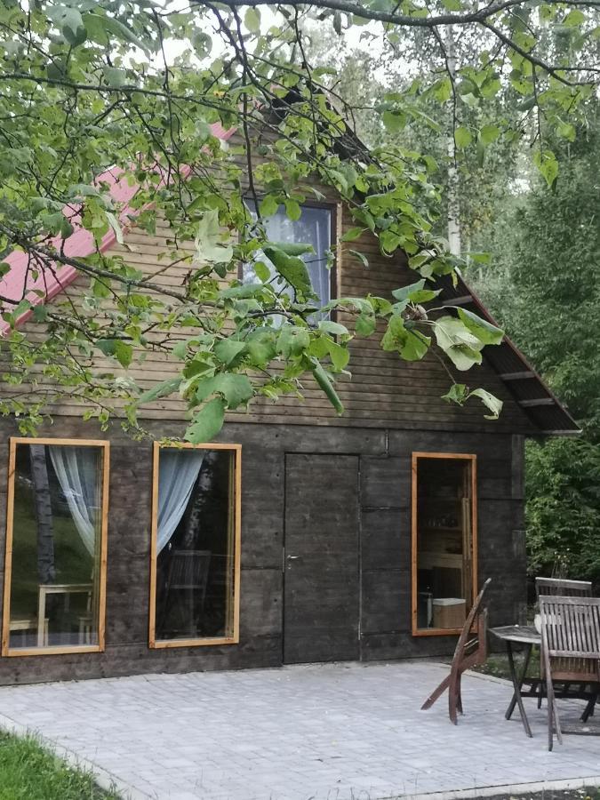 Brivdienu Maja "Raudini" Kaltene Eksteriør billede