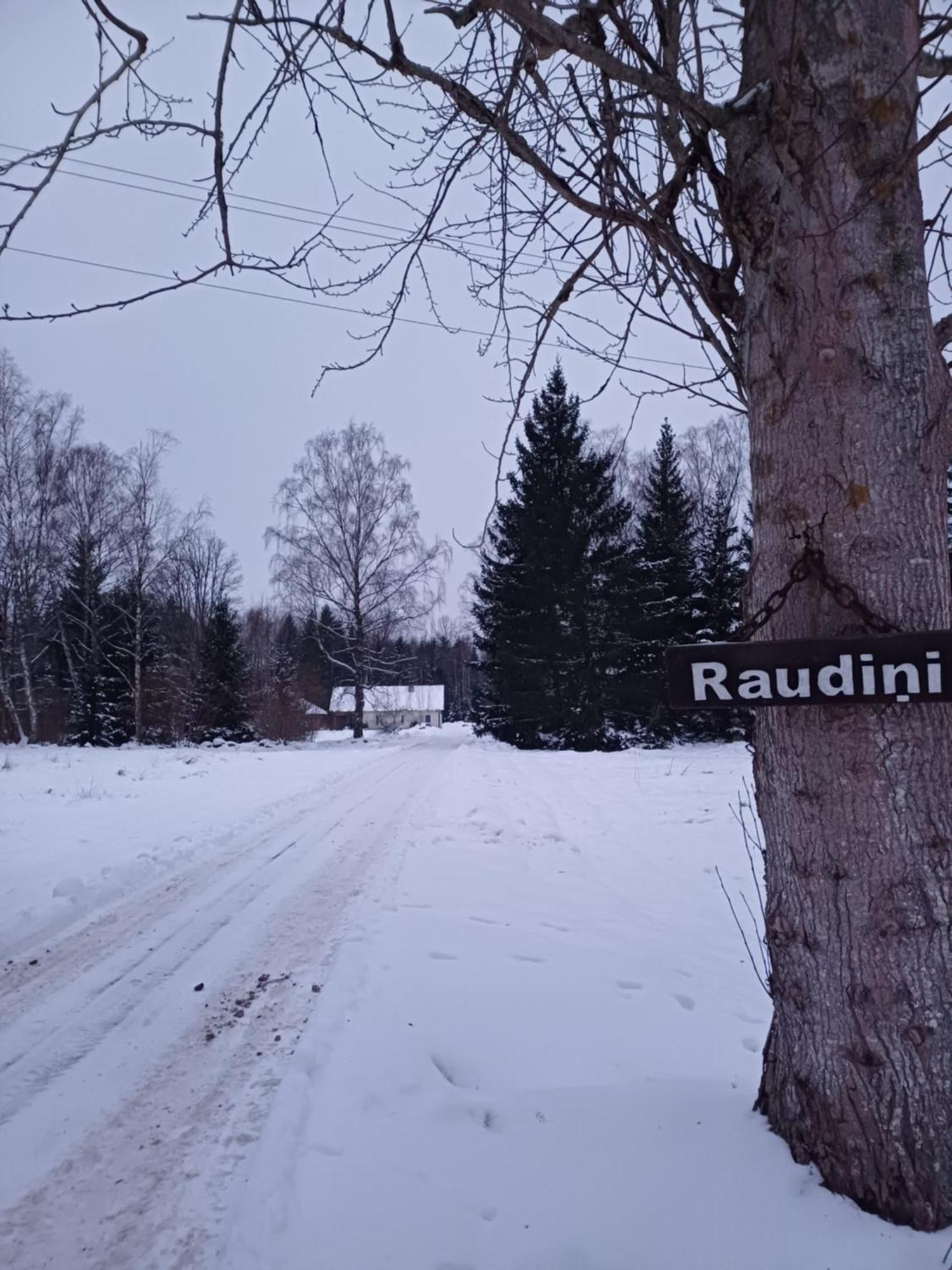 Brivdienu Maja "Raudini" Kaltene Eksteriør billede